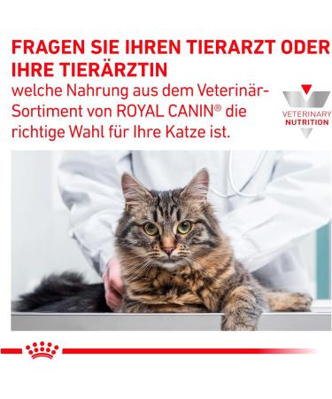 Royal Canin Veterinary Gastrointestinal Kitten Dry food 2 kg - Buy Online on GoSupps.com