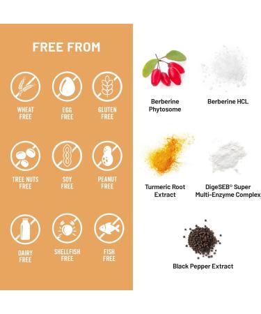 NatureWise Berberine 1000mg - Berberine Phytosome + HCI + Turmeric & Digestive Enzymes - Supports Healthy Blood Sugar + GI + Metabolism + Cholesterol - Non-GMO USA Manufactured - 30 Day Supply  - Buy Online on GoSupps.com