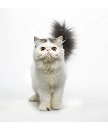 Eye Envy Tear Stain Remover Solution for Cats - 100% Natural & Safe - Recommended by Experts - Contains Colloidal Silver - 2oz - Buy Online on GoSupps.com