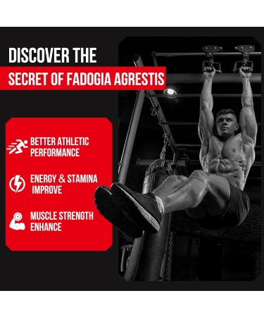 1600mg Fadogia Agrestis Tongkat Ali Supplement Fadogia Agrestis Extract for Men with Ashwagandha - Maximum Strength 120 Softgels 60 Count (Pack of 2) - Buy Online on GoSupps.com