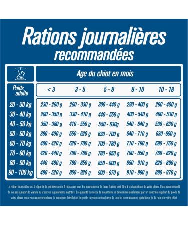 Iso dog - Premium Croquettes for Puppies and Young Dogs of Large Breeds - Gluten-free - Optimal digestion - Rich in Chicken - 12kg - GMO-free - 100% Natural raw materials - Buy Online on GoSupps.com