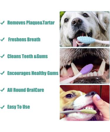 5pack Dog Toothbrush Double-Sided Soft Silicone Gentle Dental Brushes kit with Curved Long Handle Dog toothbrushes Red - Buy Online on GoSupps.com