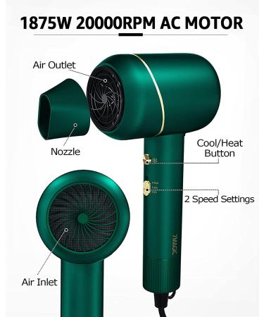 Ionic 1875W Hair Dryer with Concentrator - Fast Drying, Lightweight, Cool Heat & 2 Speed Settings - Professional Blow Dryer for Women and Kids - Green - Buy Online on GoSupps.com