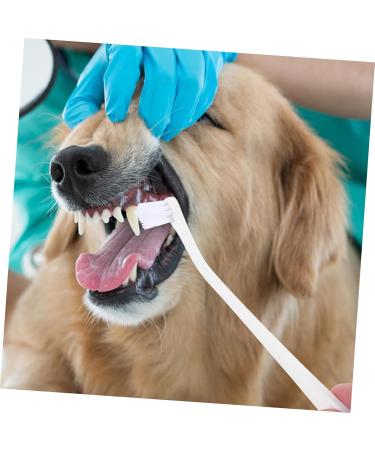 BESPORTBLE 5pcs Pet Toothbrush Dog Oral Cleaning Toothbrush Dog Supply Toothbrush for Small Dogs Pet Single-head Brush Dog Oral Care Dog Toothbrush and Toothpaste Pet Brush Pet Supplies 1 count (Pack of 1) Whitex5pcs - Buy Online on GoSupps.com