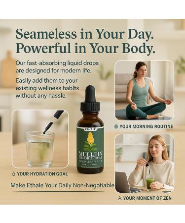 ETHALE Mullein Drops for Lungs Natural Herbal Supplement with Mullein Leaf & Chlorophyll Daily Lung and Breathing Support 30 Day Supply Non-GMO Plant-Based Formula (2) - Buy Online on GoSupps.com