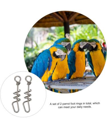 Kisangel 2pcs Parrot Anklet Birds Foot Chain Chicken Foot Ring Birdemic Bird Foot Stand Chain Stainless Steel 4X1X1cm Silver - Buy Online on GoSupps.com
