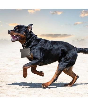 Jeffdad Canvas Dog Treat Pouch Portable Puppy Dog Training Treat Pouch with Carabiner Hands-Free Auto Closing Pet Snack Reward Pocket For Pet Training Travel or Outdoor Use(Grey) - Buy Online on GoSupps.com