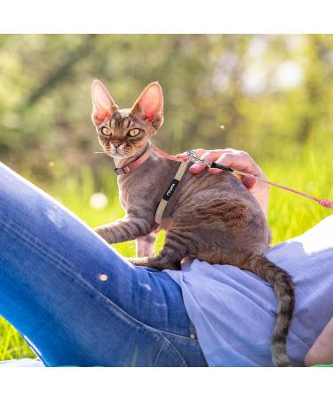 Adjustable Tiesome Cat Dishes with Leash & Collar Set - Color Gradient Kitten Dishes for Outdoor Walks (Orange & Yellow) - Buy Online on GoSupps.com