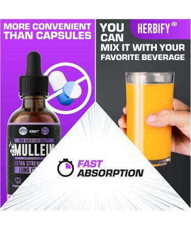 HERBIFY Bundle - Lions Mane & Mullein Grape 4 Fl Oz Drops - Supplement for Memory Focus & Clarity & Immune Support Lung Cleanse and Bronchial Support - Buy Online on GoSupps.com