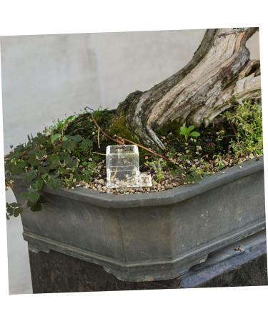 Mipcase 3pcs Pet Water Feeder Mini Liquid Feeder Insect Feeder Ants Nest Water Feeding Area Plastic 1 count (Pack of 1) - Buy Online on GoSupps.com