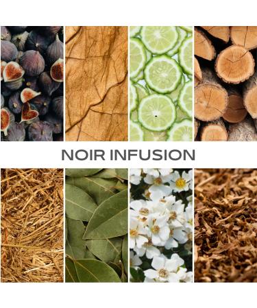 Inspired by LeLabo's Th Noir 29 Noir Infusion EDP Long Lasting 12-14 Hours Perfume Spray for Men Women unisex All Skin Types Cruelty Free 0.33 oz 10ml Inspired by LeLabo's Th Noir 29 Eau de Parfum 0.33 Fl Oz (Pack of 1) - Buy Online on GoSupps.com