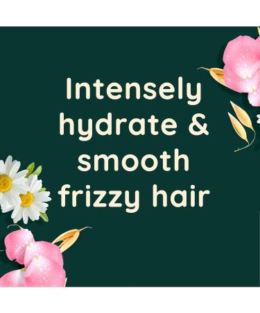 Aveeno Rosewater & Chamomile Scalp Soothing Shampoo 300ml - Frizzy Hair Treatment - Buy Online on GoSupps.com