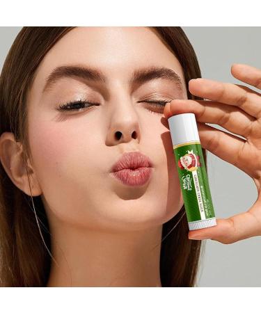 Moisturizing Lip Balm Nourishing Christmas Plumping Effect Non-Greasy Lip Repair Sticks | For Women and Men Winter Birthday Holiday Travel Dating Everyday Party Office Work - Buy Online on GoSupps.com