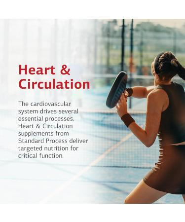 Standard Process Whole Food Folate - Supports Cellular Health & Processes - Includes Vitamin B12 - Supports Vascular Function - Vegetarian Gluten-Free & Non-Dairy - 270 Capsules (45 Servings) - Buy Online on GoSupps.com