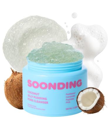 Coconut Jelly Pudding Cleanser | Deep Pore Cleansing & Gentle Exfoliation with Jelly-to-Foam Texture | Hydrating Face Wash with Panthenol Ceramide & Peptides (100ml) 3.38 Fl Oz (Pack of 1)