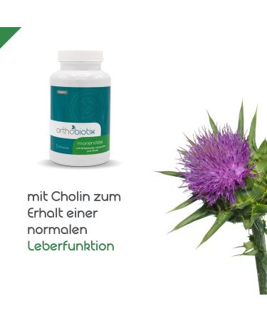 Orthobiotix Milk Thistle Complex - Vegan 120 Capsules with Choline Artichokes & Dandelion Extract - High-Dose Plant-Based Support - Buy Online on GoSupps.com