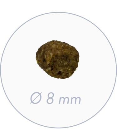 Buy Bosch HPC Mini Adult Dog Food - Fresh Poultry & Millet for Small Breeds (1kg Pack of 2) | Premium International Shipping - Buy Online on GoSupps.com