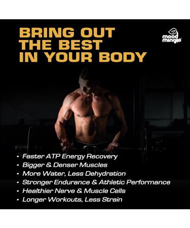 Buy Sugar-Free Creatine Monohydrate Gummies 5g - Enhanced Formula with L-Taurine Betaine & BCAA - International Shipping Available - Buy Online on GoSupps.com