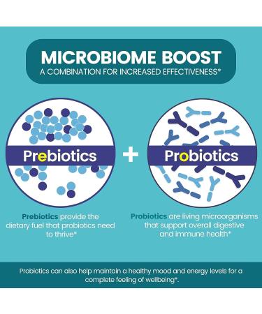 Zentastic Probiotics & Prebiotics Supplement - 50 Billion CFU - 16 Strains - 120 Delayed Release Veggie Capsules - Immune & Digestive Support for Men & Women - 2 Pack - Buy Online on GoSupps.com