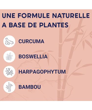 FORMULA JOINTS | Turmeric Harpagophytum Boswellia Serrata Bamboo | Joints Flexibility Mobility | 100% Natural Food Supplement | 60 Capsules | Made in France - Buy Online on GoSupps.com