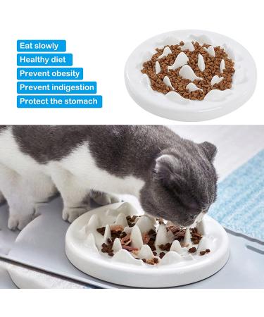 DotPet Ceramic Cat Slow Feeder Bowl - Anti-Gulping Interactive Pet Bowl for Healthy Eating, Preventing Bloat & Obesity - Buy Online on GoSupps.com