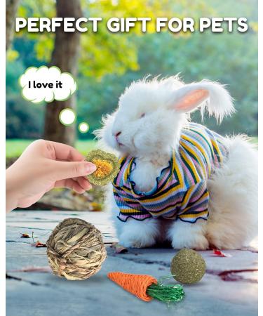 Pweituoet Rabbit Toys for Small Animals - 100% Natural Handmade Chew Treats for Bunny, Hamster, Guinea Pig, Chinchilla, Rat | Variety of 14 Types - Buy Online on GoSupps.com
