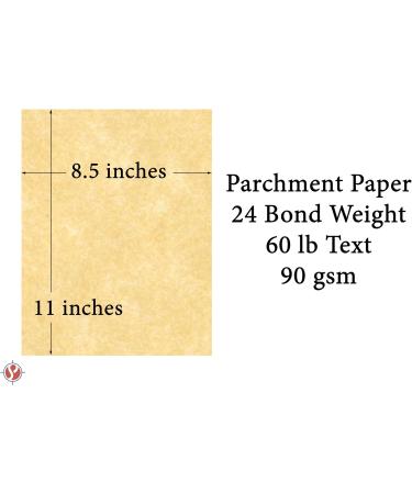 Champagne Stationery Parchment Paper - Ideal for Certificates, Menus, and Invitations | 24Lb Bond | 8.5 x 11 | 50 Sheets - Buy Online on GoSupps.com
