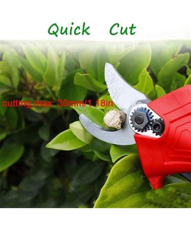 New Pruner Professional Electric Pruning Shears Cordless Pruning Shears Rechargeable High Thick Branch Shears Professional 21V Tree Branches Garden Small Gift - Buy Online on GoSupps.com
