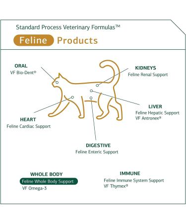 Standard Process Feline Whole Body Support 90 Tablets - Daily Cat Supplement - Buy Online on GoSupps.com