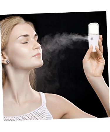 DOITOOL Handheld Sprayer 1pc Steamer Dalmatian Ears Usb Sprayer Creative Nano Mist Sprayer Cosmetic Hydrating Instrument - Buy Online on GoSupps.com