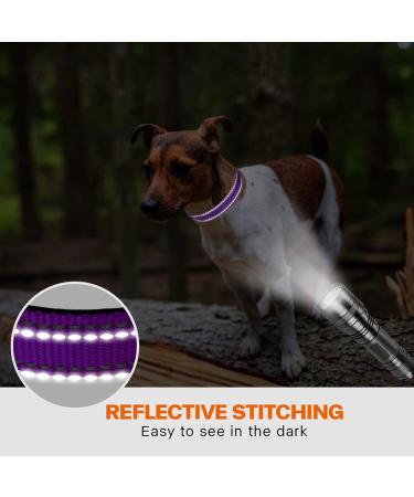 Buy Taglory Purple Dog Collar for Small Dogs - Soft Padded Neoprene Adjustable & Reflective | Ideal for Training | Fast International Shipping - Buy Online on GoSupps.com