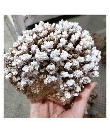 Room Decoration Natural Rough Crystalline Crystal Stone Zeolite Quartz Apophyllite Raw Rock Decorations Specimens Collection Bulk Raw Stones and Minerals (Size : 1.0-1.15kg)