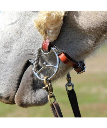 Premium Myler Curb Strap Hooks for Secure Bridle Attachment - Buy Online on GoSupps.com