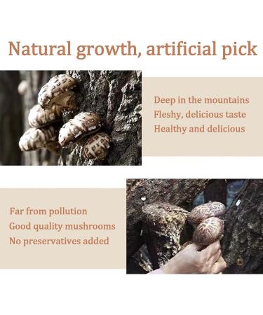 YanHouTang White Flower Shiitake Mushrooms 4 Oz - Premium Dried Mushrooms, Rich in Protein, All Natural & Nutritious, Soft Texture, Fresh Flavor - Buy Online on GoSupps.com