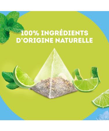 Lipton Cold Brew Cold Infusion Lemon & Mint Taste Ideal for Ice Tea Ingredients of 100% Natural Origin 6x15 Pyramid Bag - Buy Online on GoSupps.com