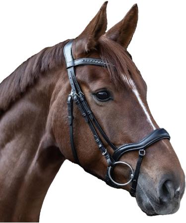 WALDHAUSEN X-Line New Shape II Bridle for Warmblood - Black | Premium Equestrian Gear International Shipping Available - Buy Online on GoSupps.com