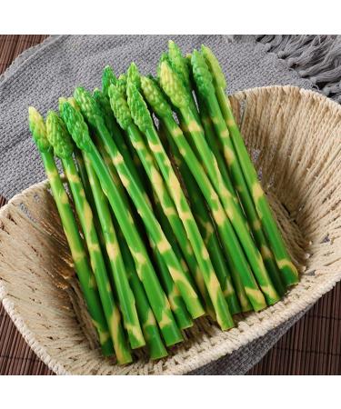 ifundom 50 Pcs Simulated asparagus ornaments food display show ornament kitchen food decor faux veggies Realistic vegetables artificial asparagus Educational Props pvc bouquet cupboard - Buy Online on GoSupps.com