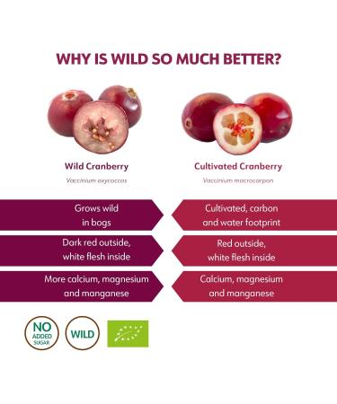  LOOV LOOV 100% Organic Wild Cranberry Powder - Nordic Freeze-Dried Powder from Unsweetened Cranberries - 91g - No Added Sugar - Buy Online on GoSupps.com