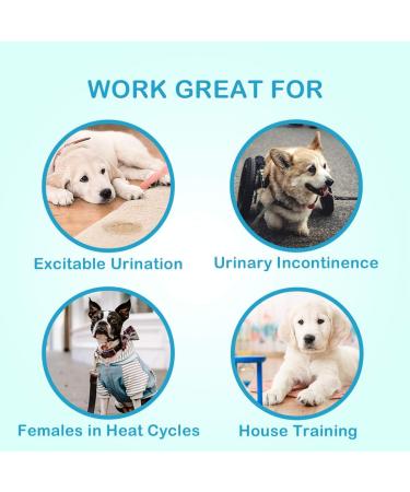 Soft Female Pet Diapers - Super-Sugable Denim Jeans Design 24 Count Disposable Puppy Dog Diapers with 3 Pockets - Buy Online on GoSupps.com
