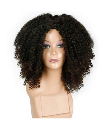 Curly Afro Wig for Dark-Skinned Women | Real Hair Lace Front Loose Synthetic Ponytail - WL9302 - Buy Online on GoSupps.com