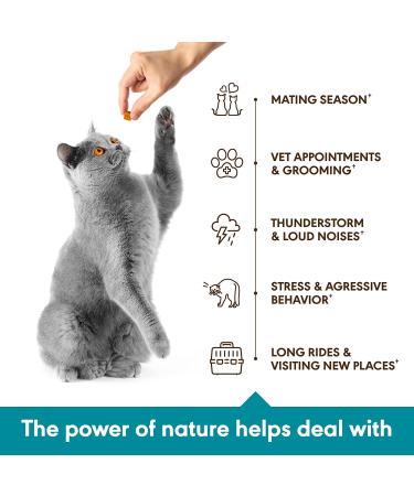 Hemp Cat Calming Treats for Anxiety Relief - Composure for Grooming, Travel, Separation - with Hemp Oil, L-Theanine, Melatonin - 135 Soft Chews Made in USA - Buy Online on GoSupps.com