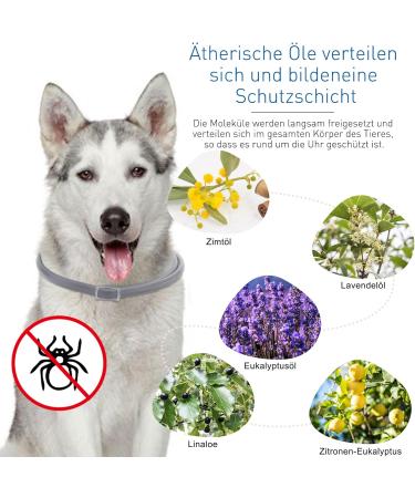 DEWEL Tick Collar for Dogs - Adjustable 63.5cm Waterproof Flea & Tick Protection - Buy Online on GoSupps.com