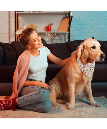 Flower Dog Bandana & Scrunchie Set for Pet & Owner | Birthday Gifts | Large Orange Flower Design - Buy Online on GoSupps.com