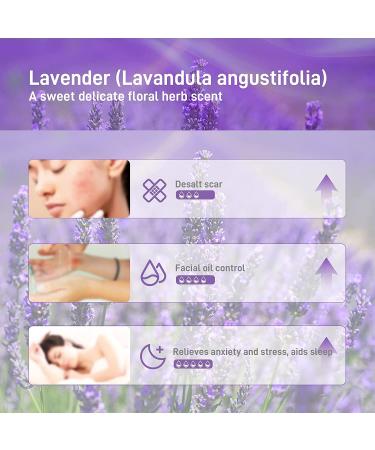 ASAKUKI Lavender Essential Oil - 10ml Natural Therapeutic Grade Oil for Diffuser, Home, Candle & Soap Making, Skin & Hair Care | YAHIME Infinite Series - Buy Online on GoSupps.com