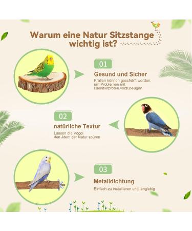 Reyshin 4-Piece Nature Birds Budgie Playground & Nibble Toys | Bird Accessories with 5 Rat Balls for Canaries & Lovebirds - Buy Online on GoSupps.com