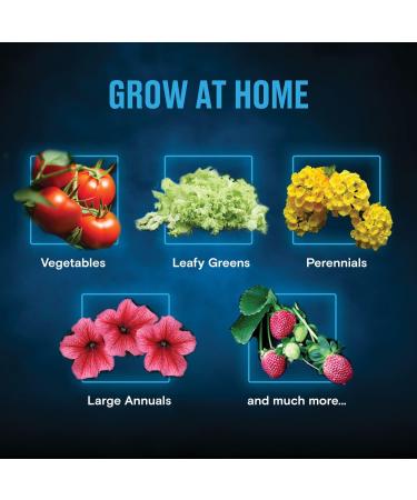 Black Magic Cal-Mag Supplement - Concentrated 2-0-0 Formula with Calcium and Magnesium - 32 oz - Buy Online on GoSupps.com