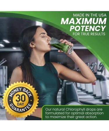 Pure Natural Liquid Chlorophyll Drops by NobleAid - Detox, Odor Neutralizer, Energy Booster - Vegan and Gluten-free Mulberry Supplement - 2 Fl oz - Buy Online on GoSupps.com