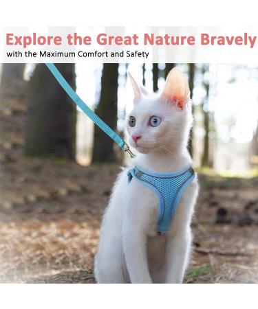 Reflective Mesh Cat Harness and Leash Set - Escape Proof Kitten and Puppy Vest - Comfort Fit and Lightweight - Easy Control - Small Blue - Buy Online on GoSupps.com