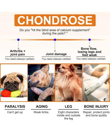 RSGRT Hip and Joint Supplements Chews for Dogs 150PCS Hip & Joint Care Tablets with Glucosamine Chondroitin Green-Lipped Mussels and Vitamins for Dog Joint Care (Duck Flavor) dog joint chews 150PCS - Buy Online on GoSupps.com