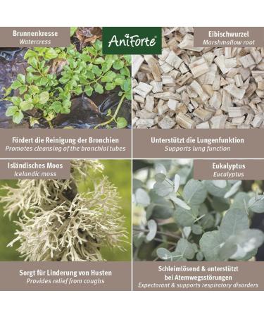 AniForte Bronchial Herbs for Horses 1kg - Natural Respiratory Support with Methylcysteine | Cough Relief & Healthy Airways - Buy Online on GoSupps.com